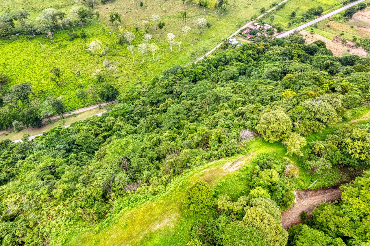 Coronado Estates Development Farm