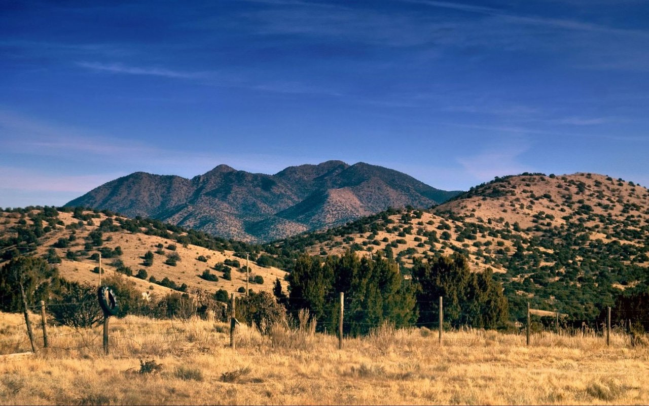 Things to do in the East Mountains