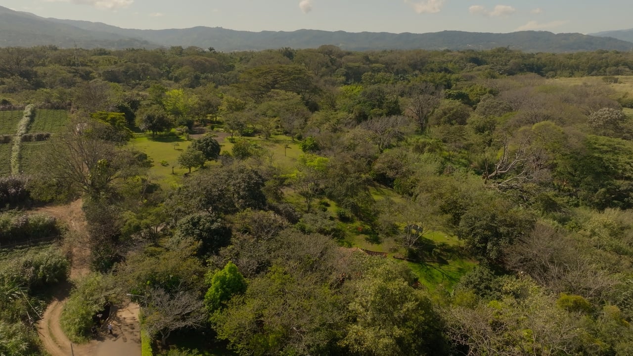 Prime Development Land for Sale La Guacima, Guacima, Alajuela