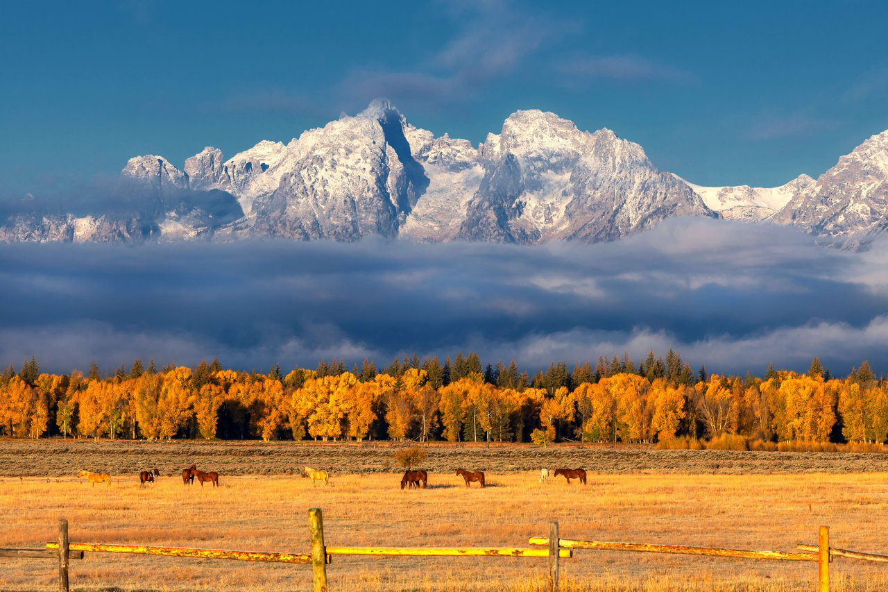 Your Guide to Fall in the Tetons