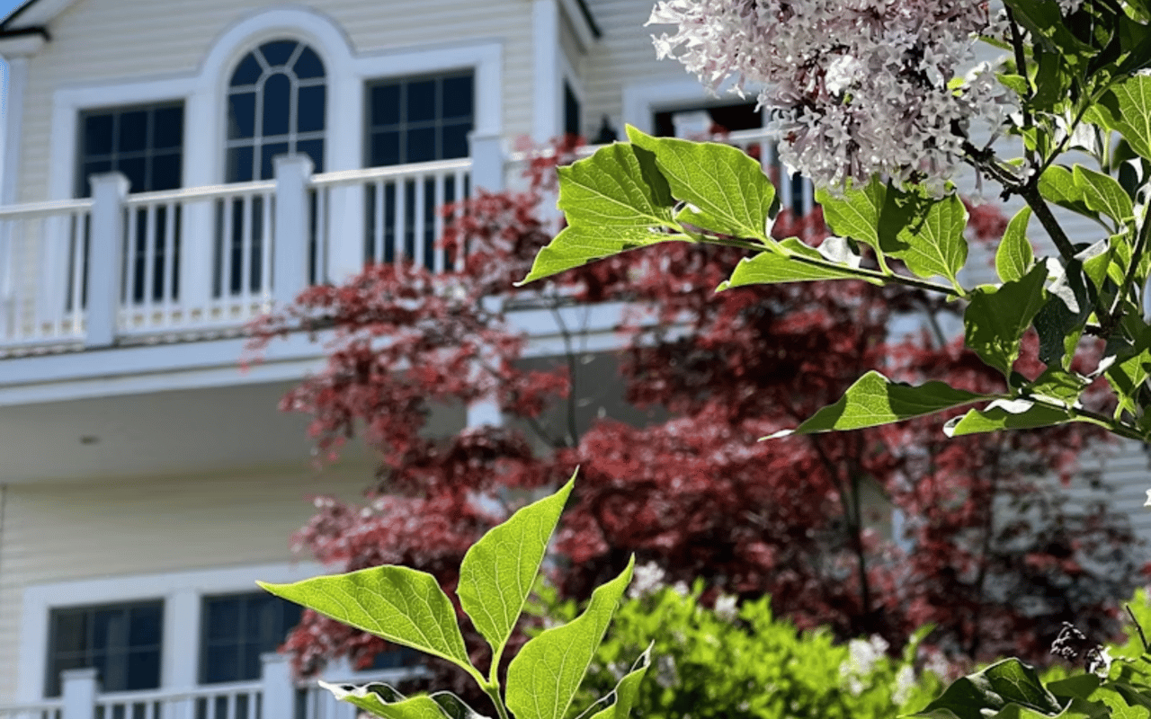 How to Boost Your Home's Curb Appeal in One Weekend