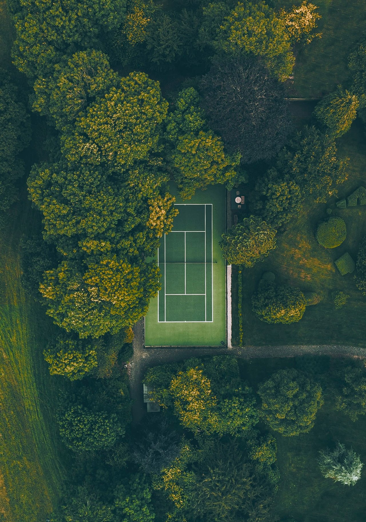 An aerial view of a tennis court surrounded by lush green trees.