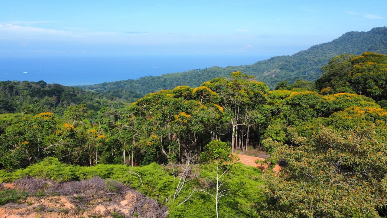 Ocean View Lot in the Exclusive Uvita Mountains. 