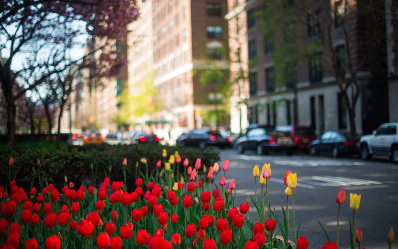 Upper East Side