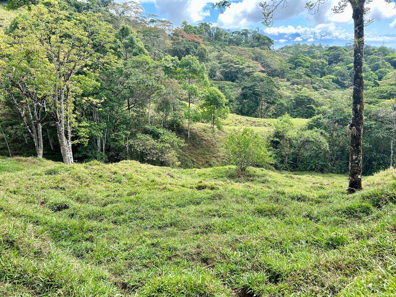 Hidden Gem: Serene Farm Retreat with Majestic Views in Costa Rica