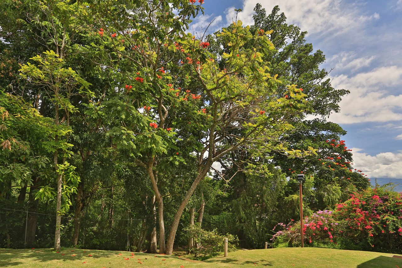 Mediterranean Gated Estate, Escazu, San Jose