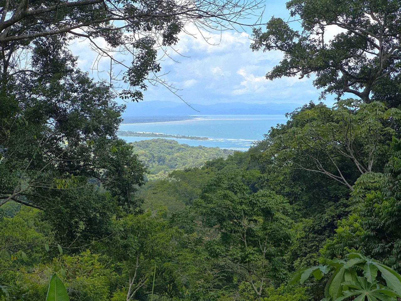 5.77 Acres With 4 Building Sites. Ocean Views, Rivers And Rainforest Abound In Cinco Ventanas! Ojochal 