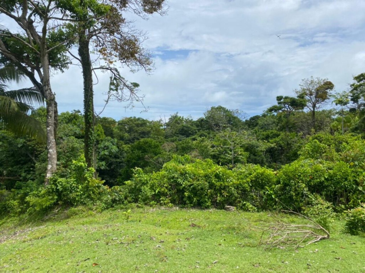 Prime Development Homesite, Manuel Antonio, Puntarenas