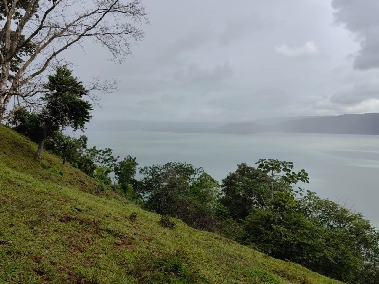 Coastal Development Land, Osa, Puntarenas