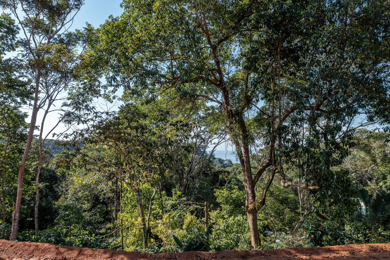 Secluded Ocean view Land in Dominical, Costa Rica