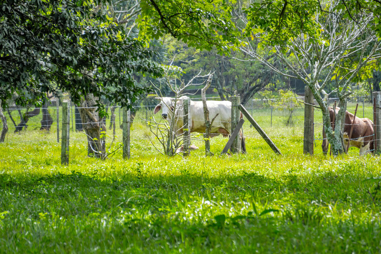 Mixed Use Development Land, Guacima, Alajuela