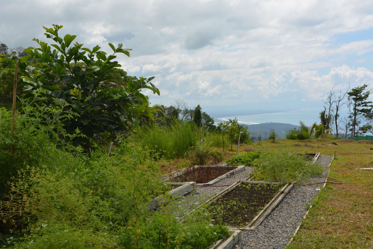 Uvita First Ridge Finca Alezan 16.5 Acres, Fantastic Views, Ready To Build With Private Swimming Hole 
