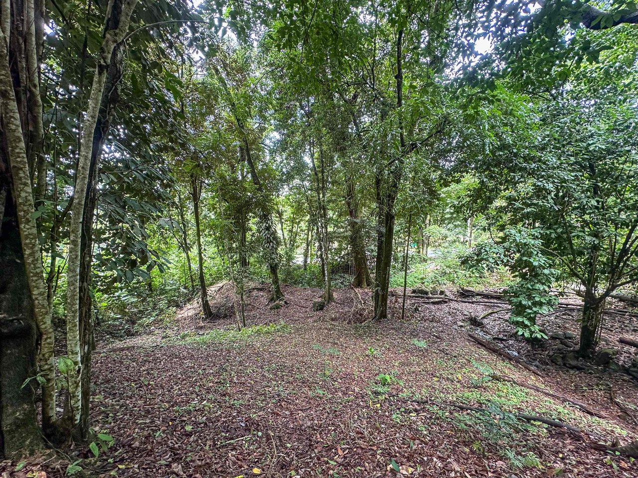 Prime 9.4-Acre Ocean View Land in Golfito