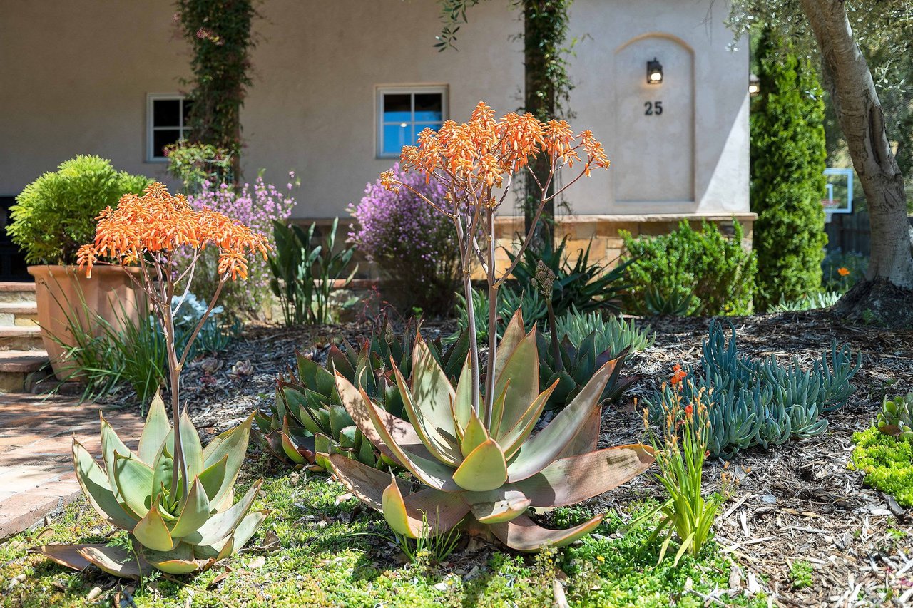 25 Martling Road, San Anselmo