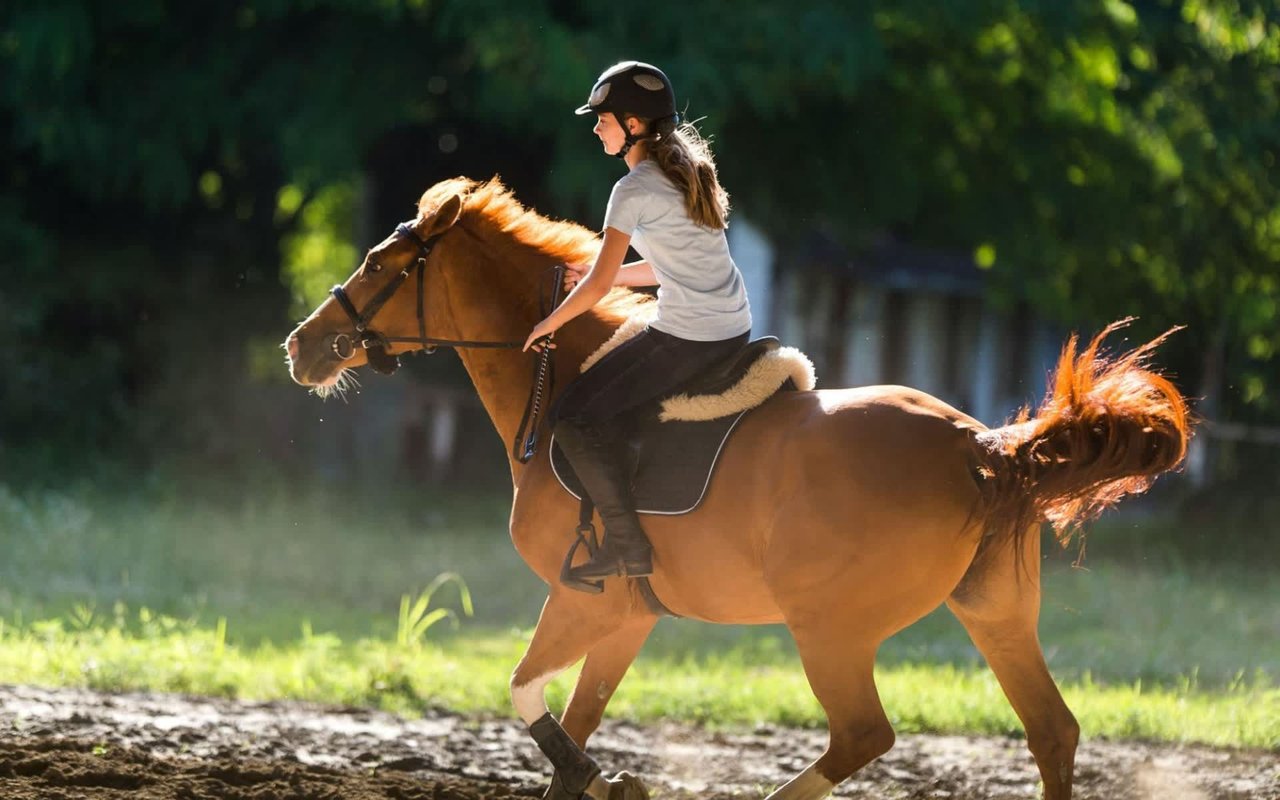 Things to Do in Park City