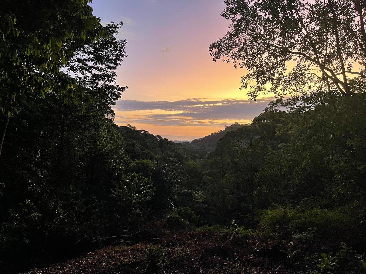 Tranquil Paradise in Portasol Gated Community, Lot C11, Portalon, Costa Rica
