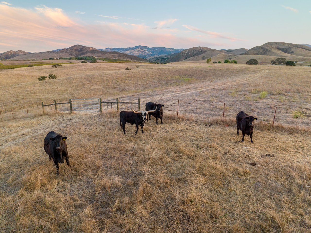 105+/- Magical Acres in Happy Canyon