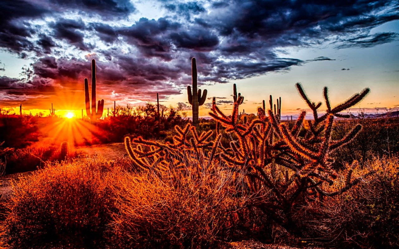 Buying a Home in Scottsdale, AZ