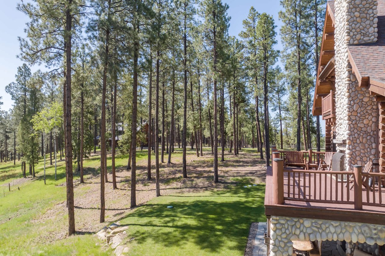 Watusi Ranch - Pagosa Springs, Colorado