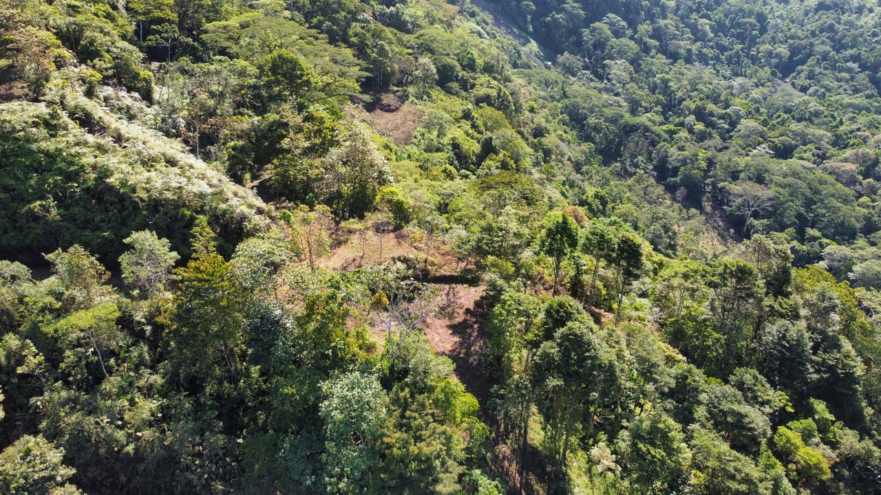 Whale Tail, Ocean & Mountain View lot in San Luis.