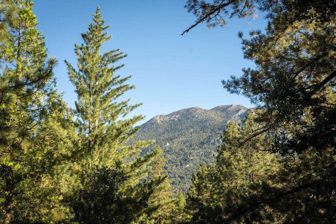 Rare Idyllwild Geodesic Dome 