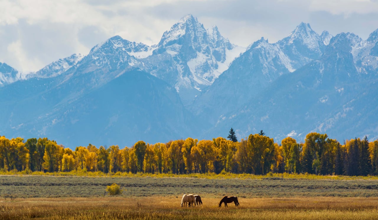 Scenic view of the Teton Range from a luxury home in Jackson Hole, showcasing the best neighborhoods for panoramic mountain vistas.