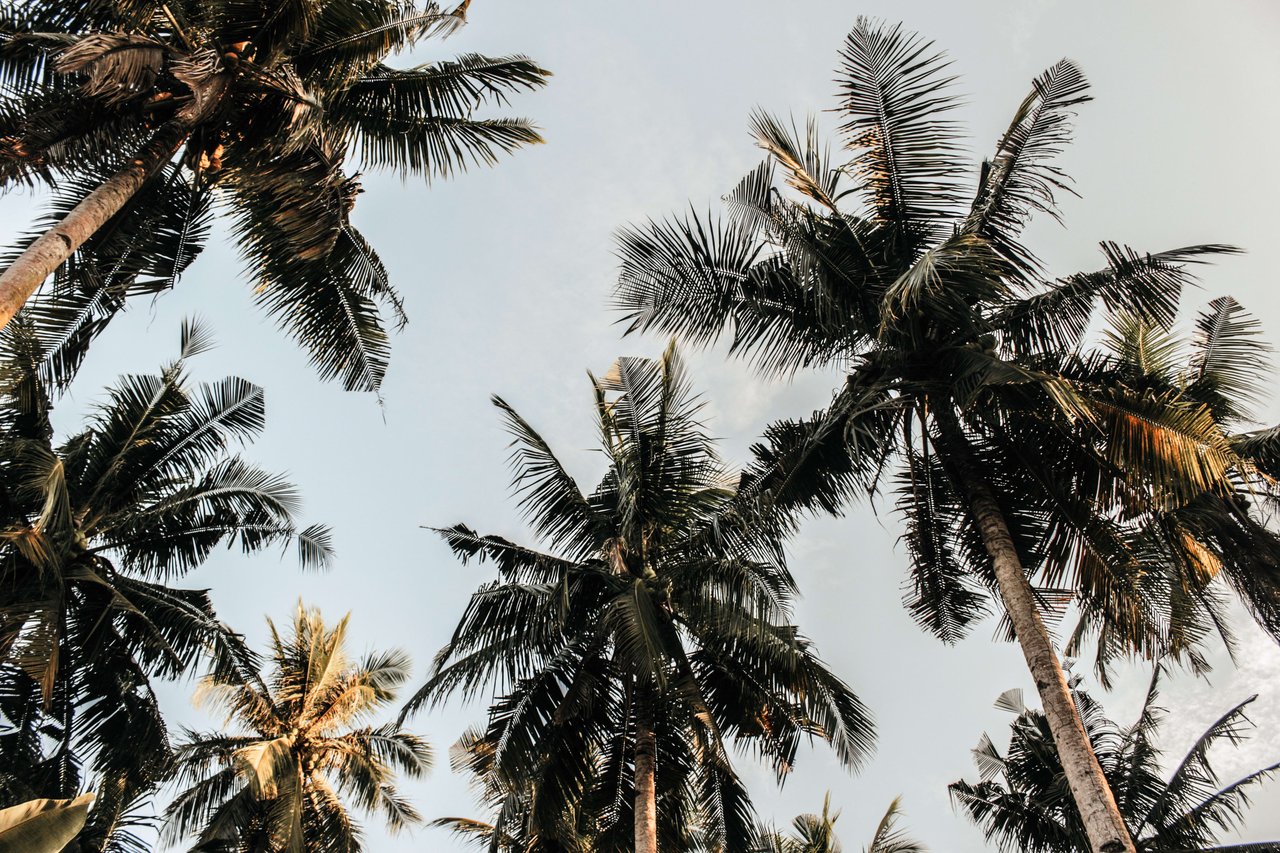 Discovering Highland Beach, Florida: A Hidden Gem on the Coast 