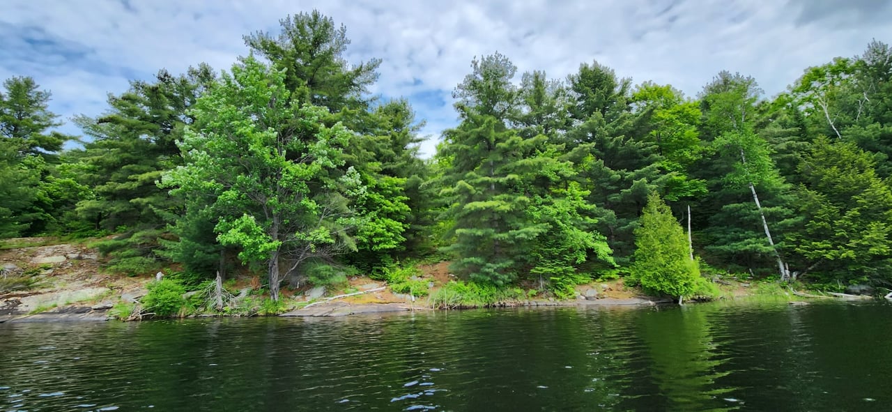 Fern Glen Road Round Lake 