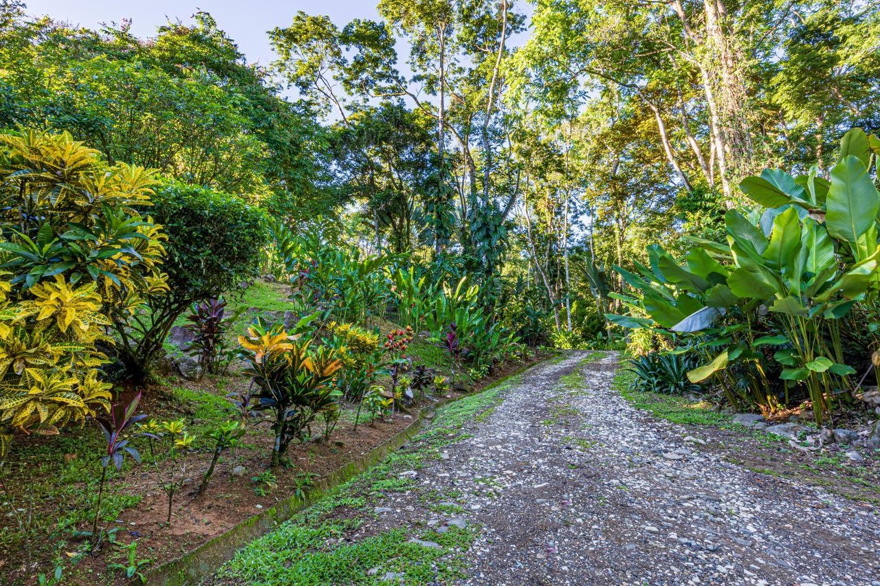 Uvita, Jungle Retreat Center on the Uvita River. Private and 17 Acres