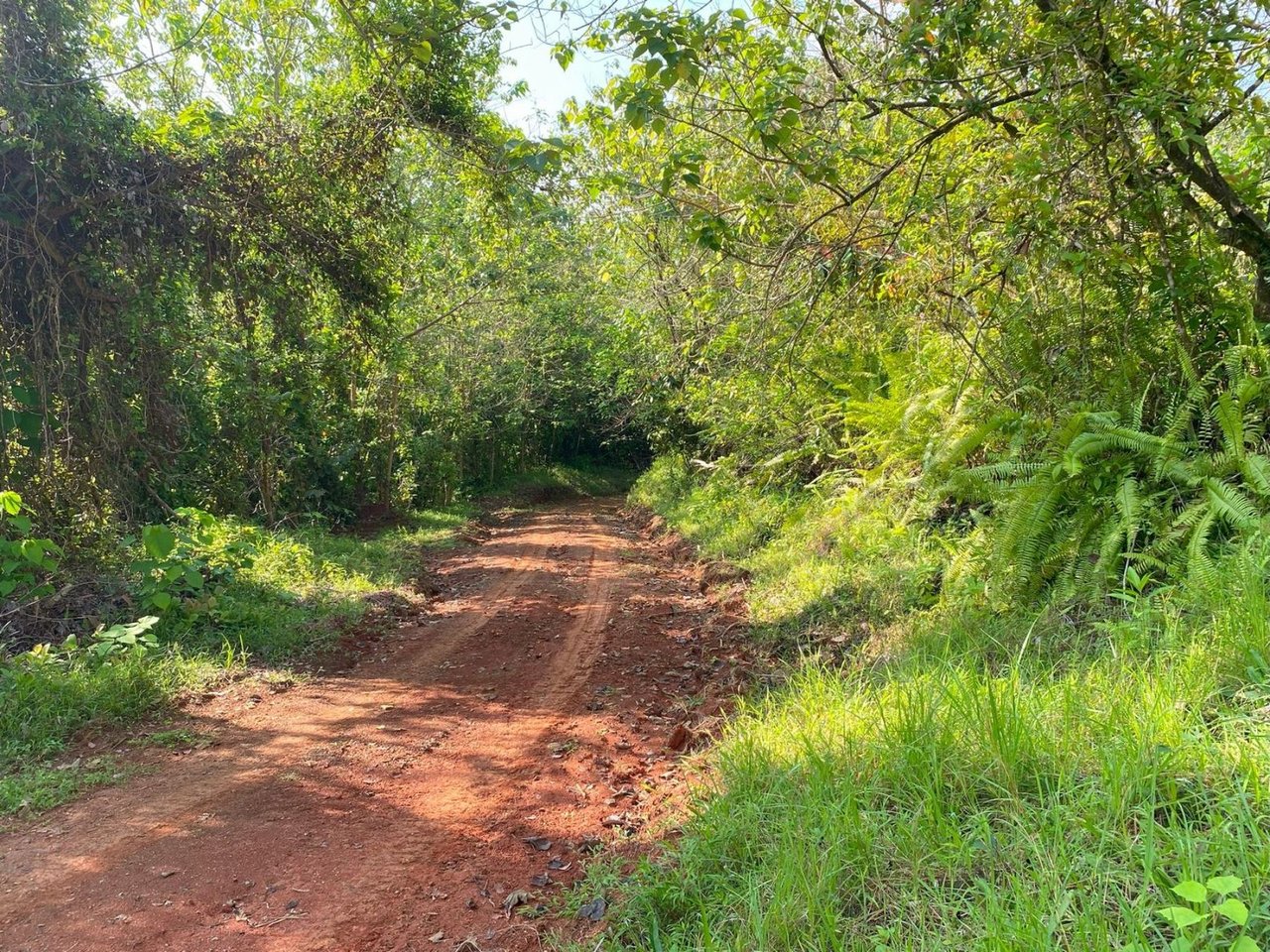 Mountain River View Farm, Osa, Puntarenas