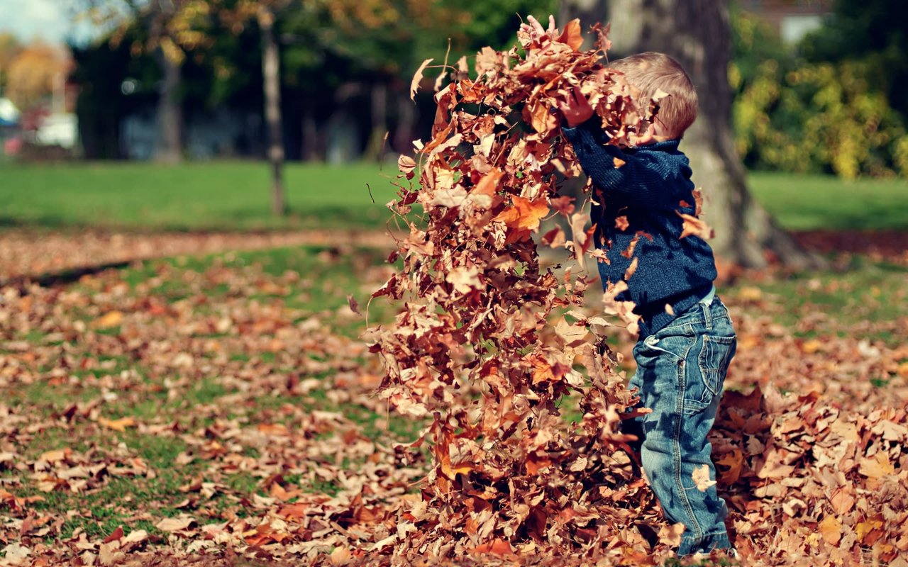 Fall Clean-Up Essentials: Preparing Your Home for the Changing Seasons 