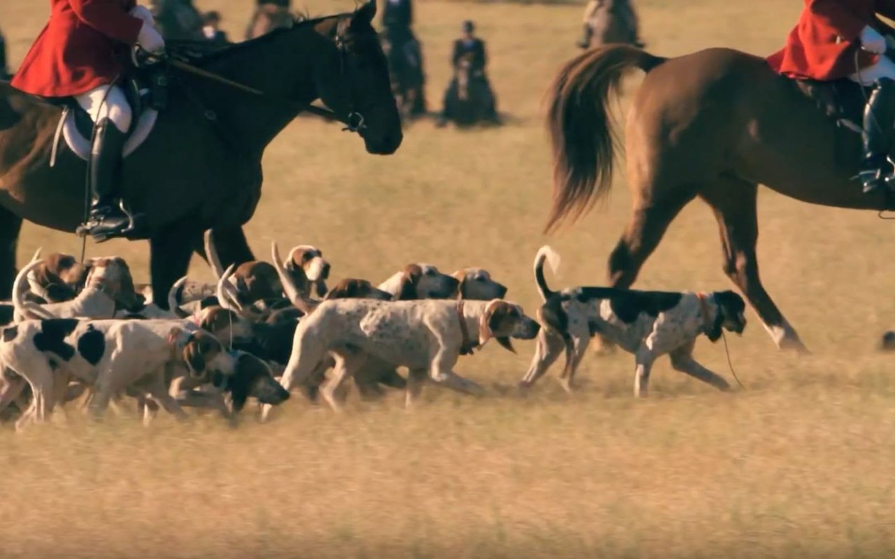 The Blessing of the Hounds on Thanksgiving Day