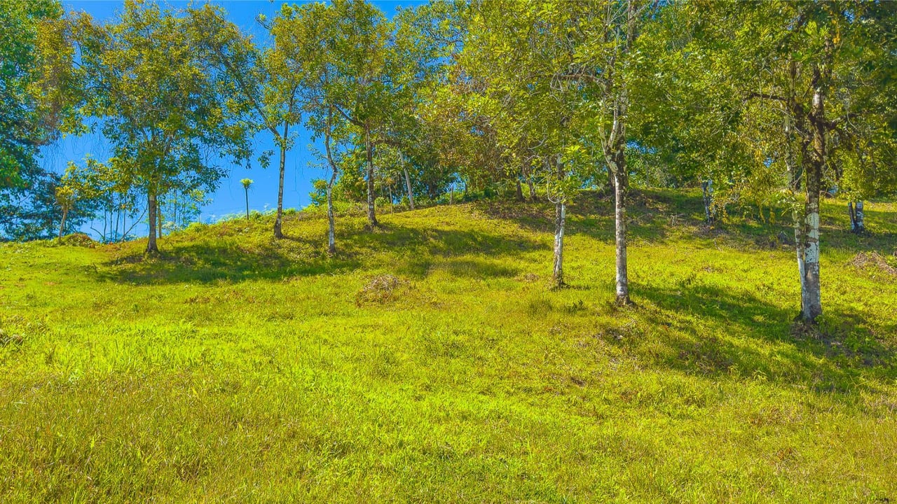 Private Mountain View Building Lot, Ojochal, Puntarenas