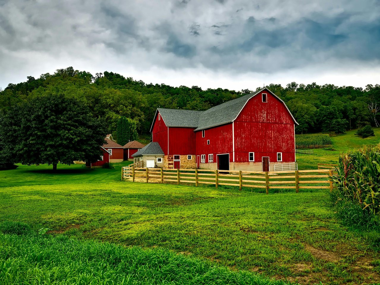 Key Features of Mini Farms in North Carolina