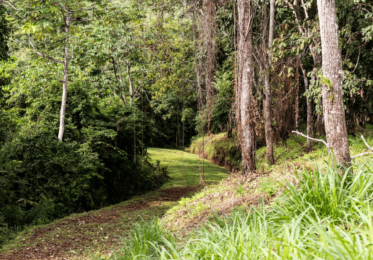 Ocean View Spring Development Land, Tamarindo, Guanacaste