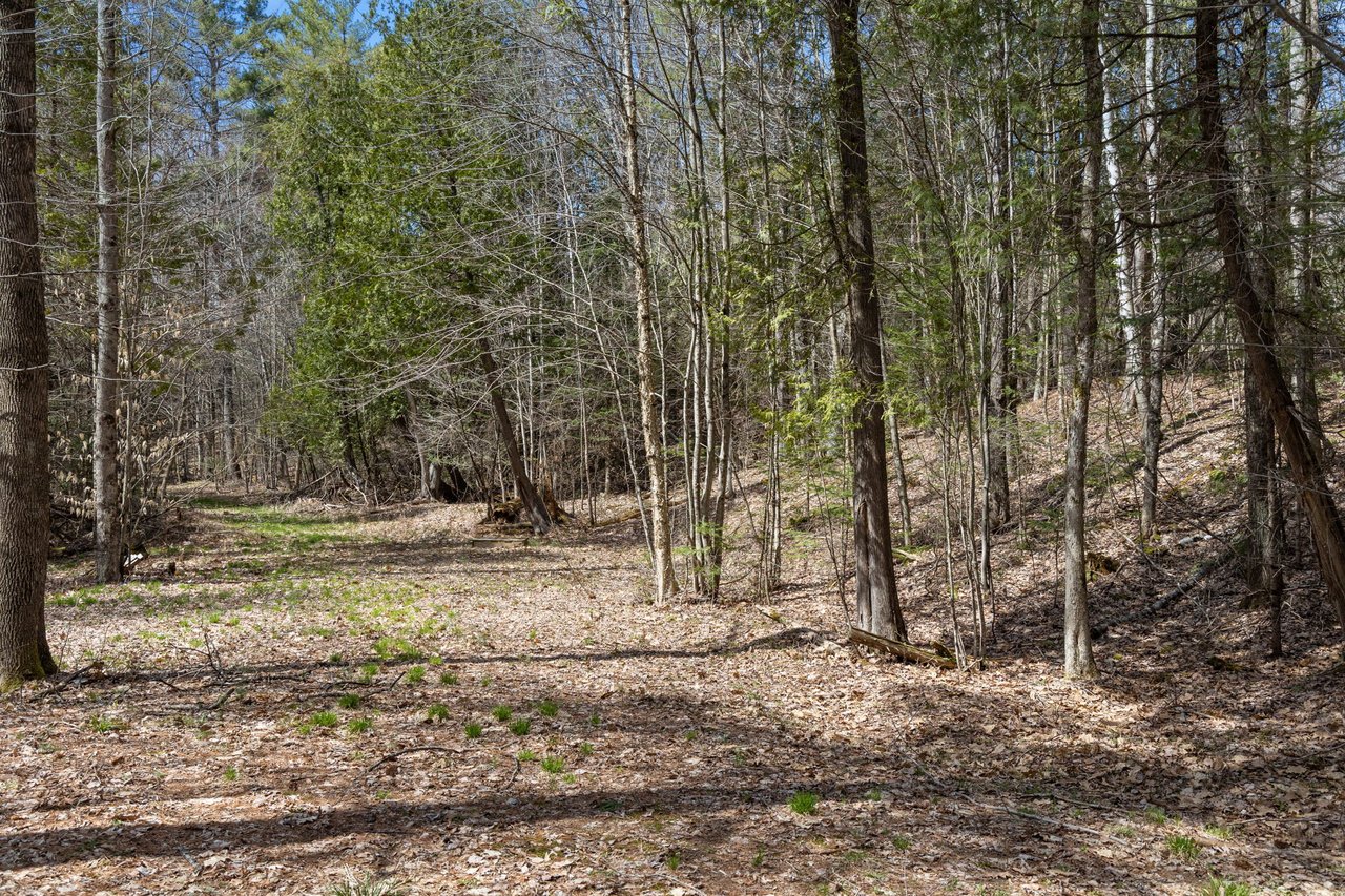 Lot #3 Riverbend Road Bath, NH 03740