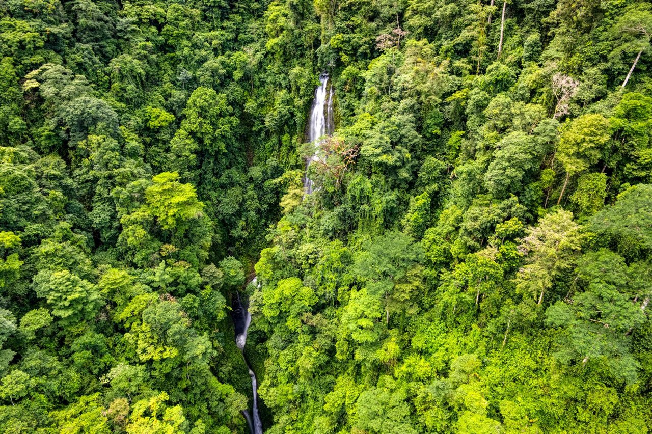 Private Waterfall Farm Cabin, Perez Zeledon, San Jose