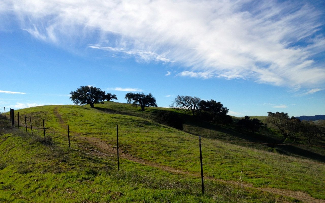 Santa Ynez