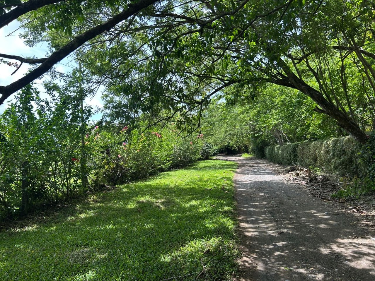 Titled Beachfront Development Land, Osa, Puntarenas