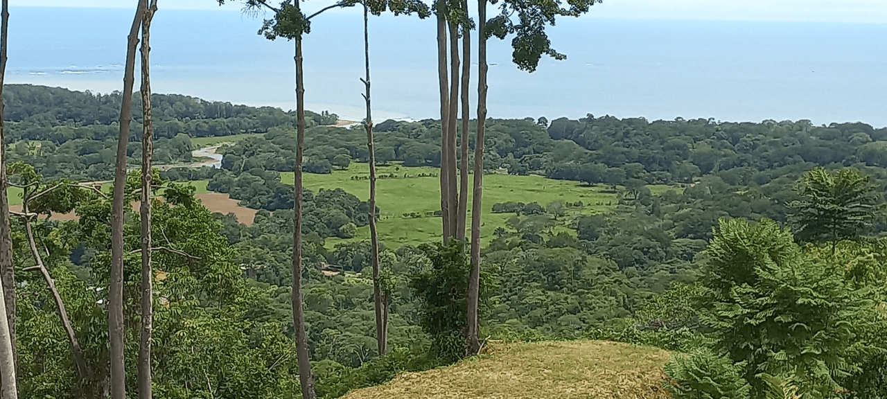 Front Ridge Land with Epic Ocean and Whale Tail Views