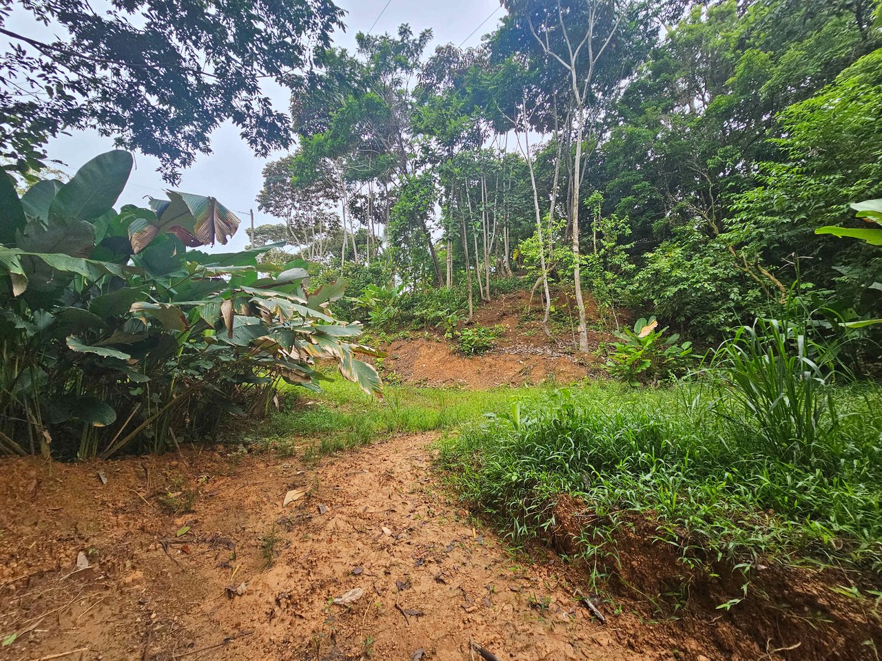 Discover Your Dream in Uvita's Prime Real Estate