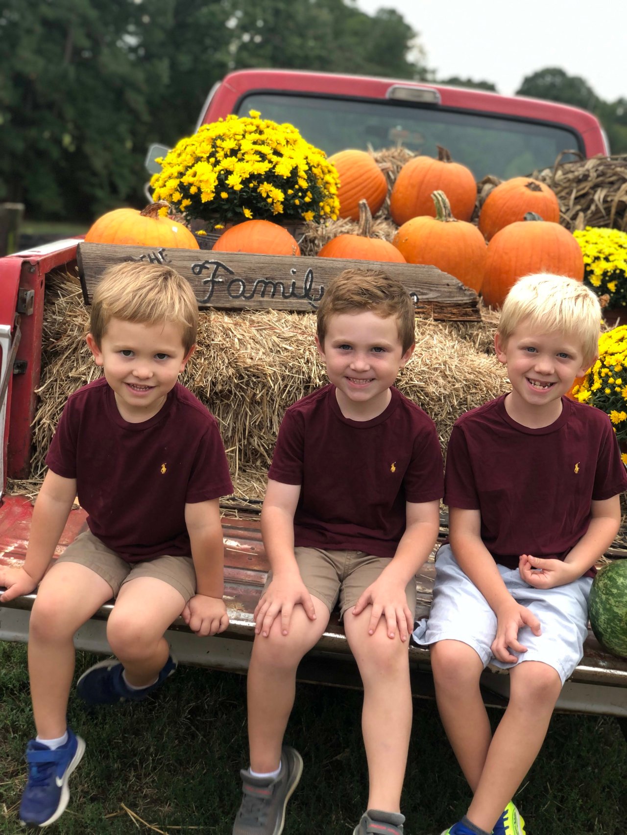 The Family Farm on Avent Ferry