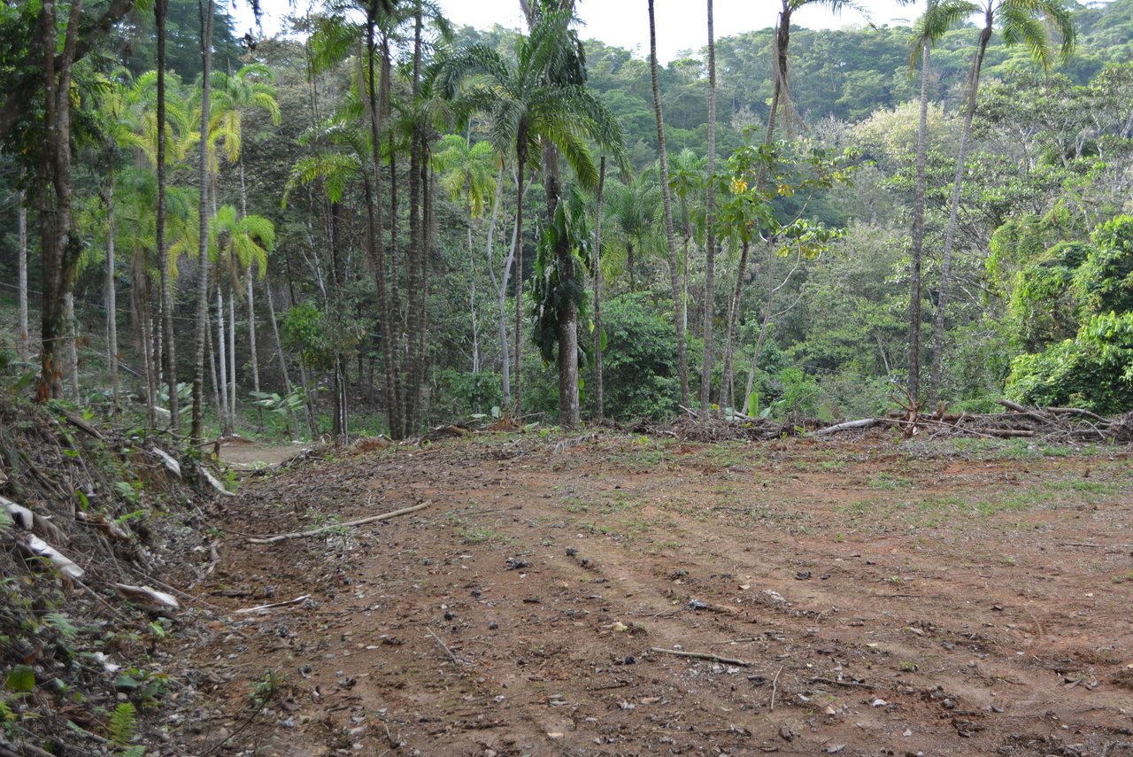 Lagunas 5 Lots 1 Acre+ Lagunas/Dominical