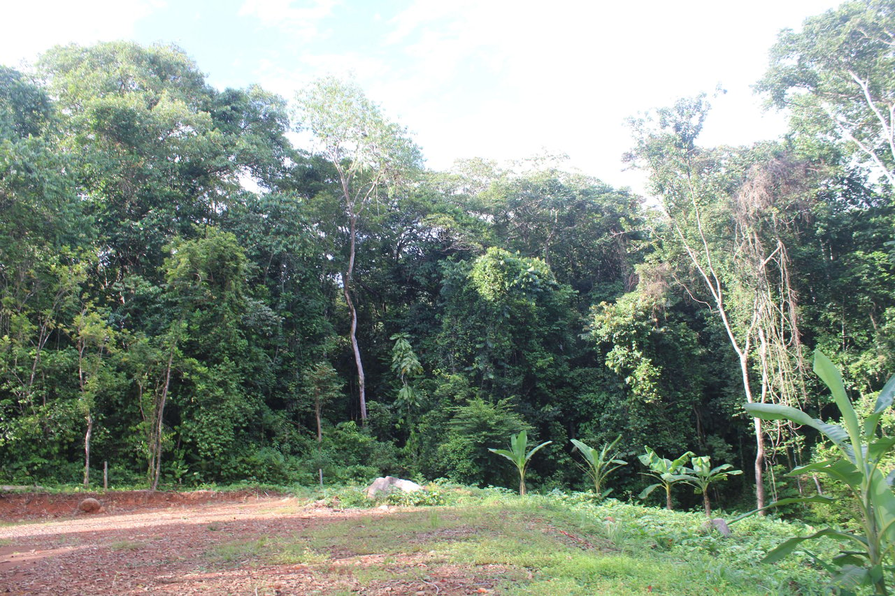 River Frontage Lot close to Uvita