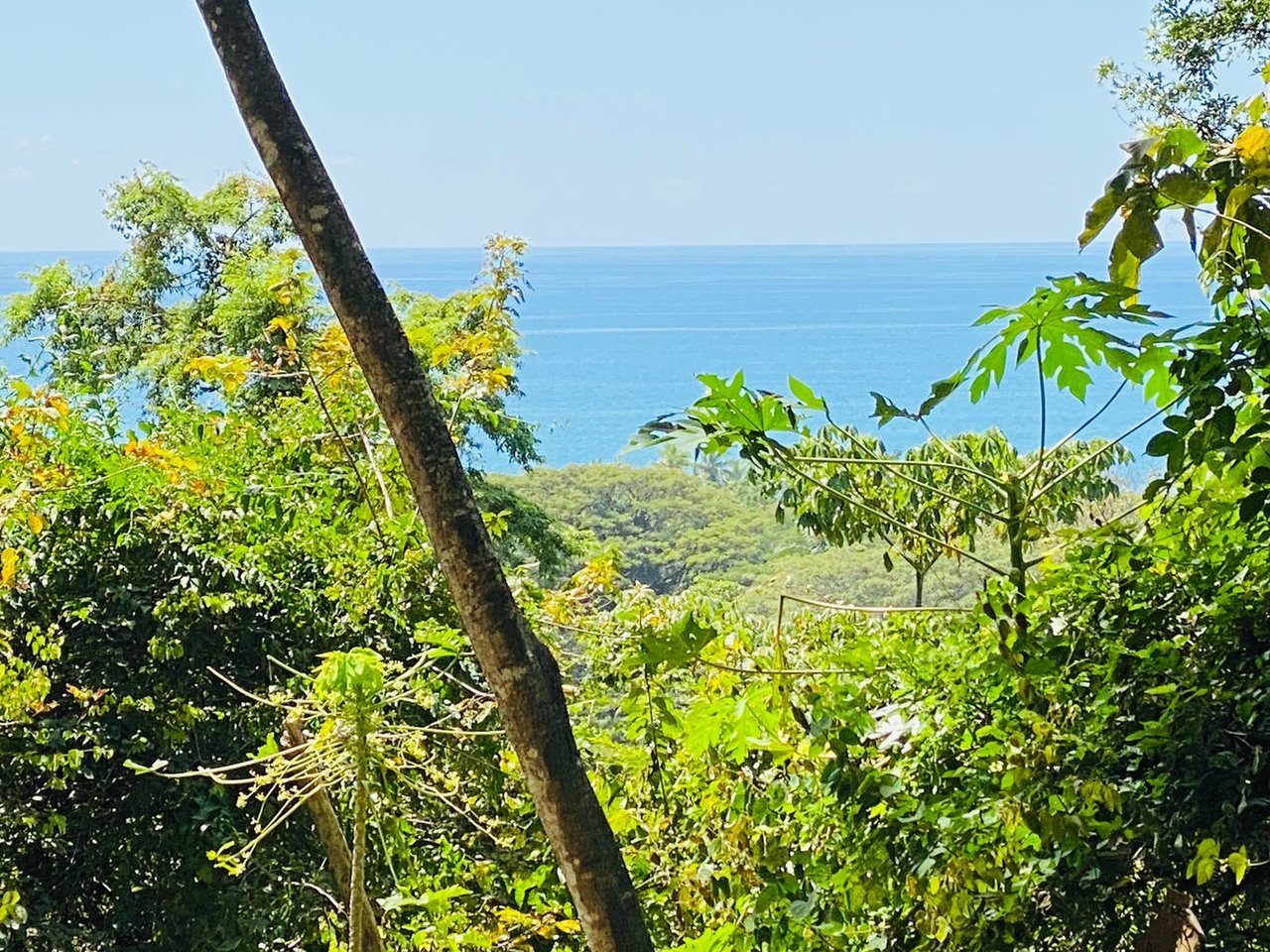 Elite Ocean View Development Land, Santa Teresa, Puntarenas