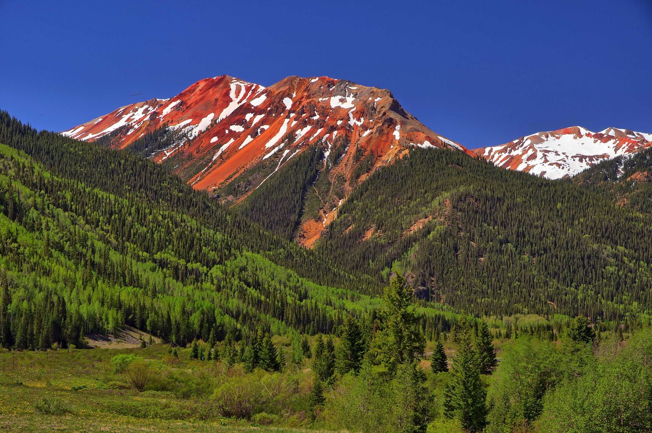 Buffalo Lodge