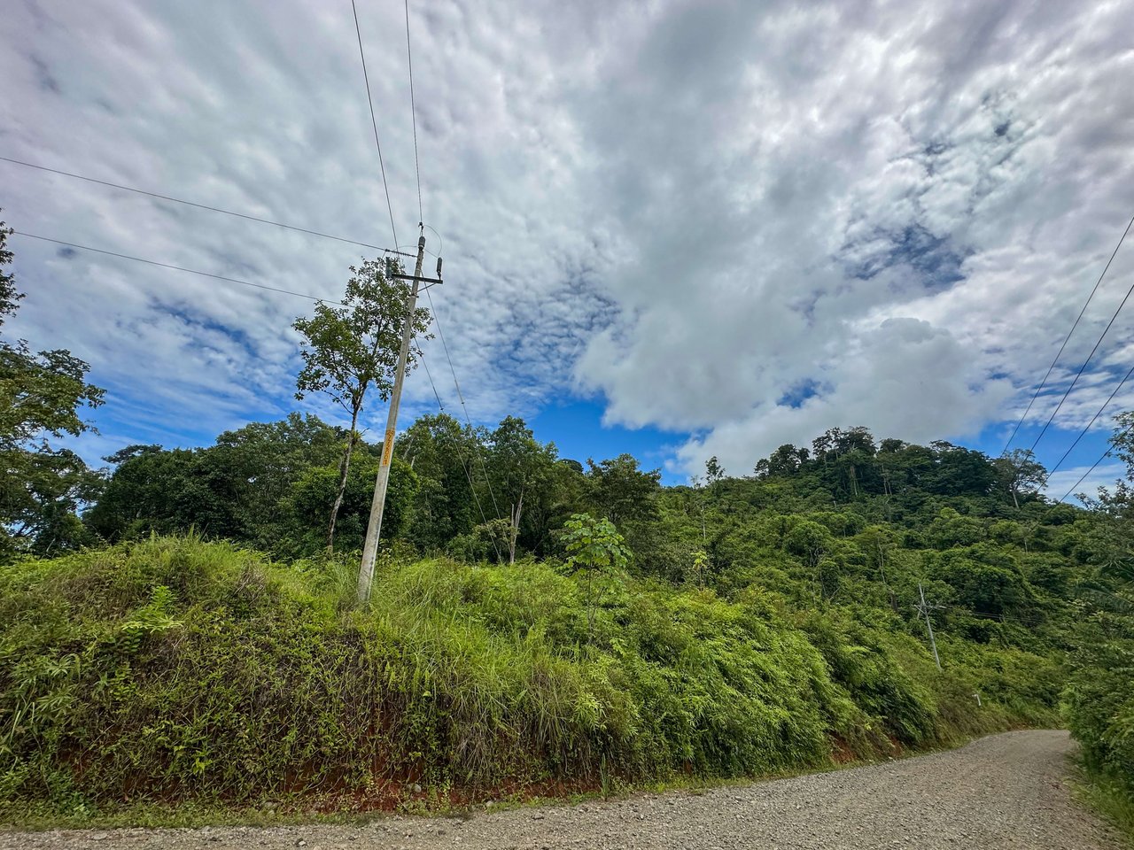 Costa Rican Gem with Conservation Potential: Preserve 26 Acres of Pristine Land