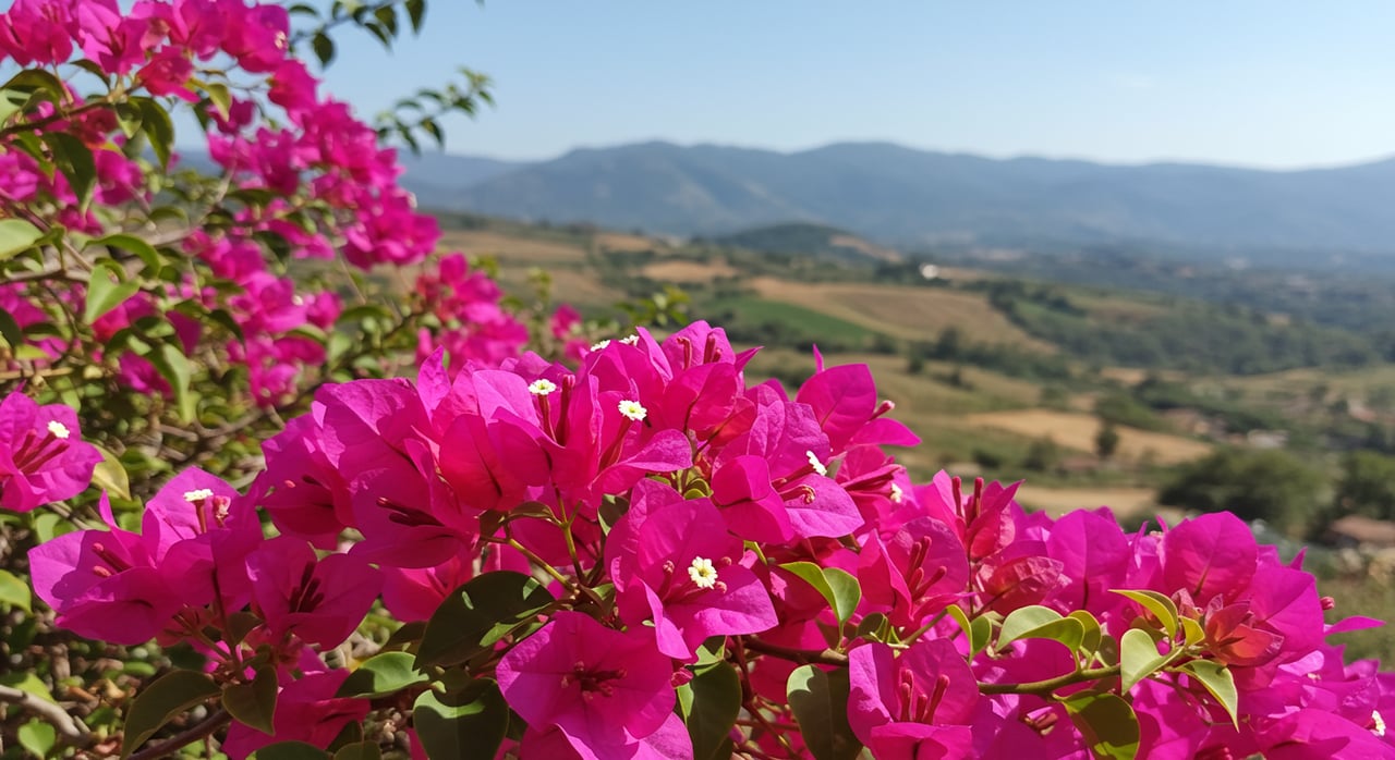 What makes Laguna Niguel a Great Place to Live? | The Carson Group
