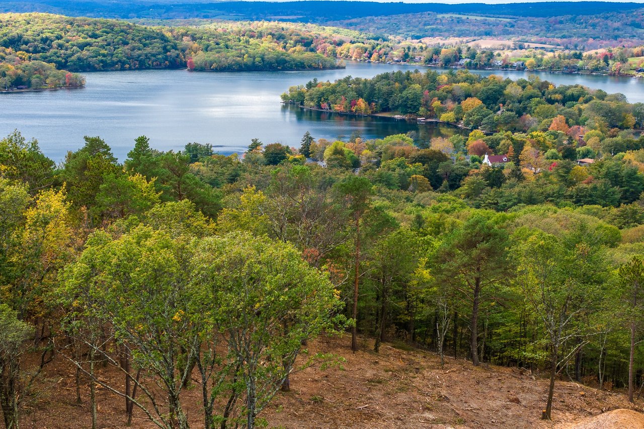 The Ridge at Copake Lake, No. 8