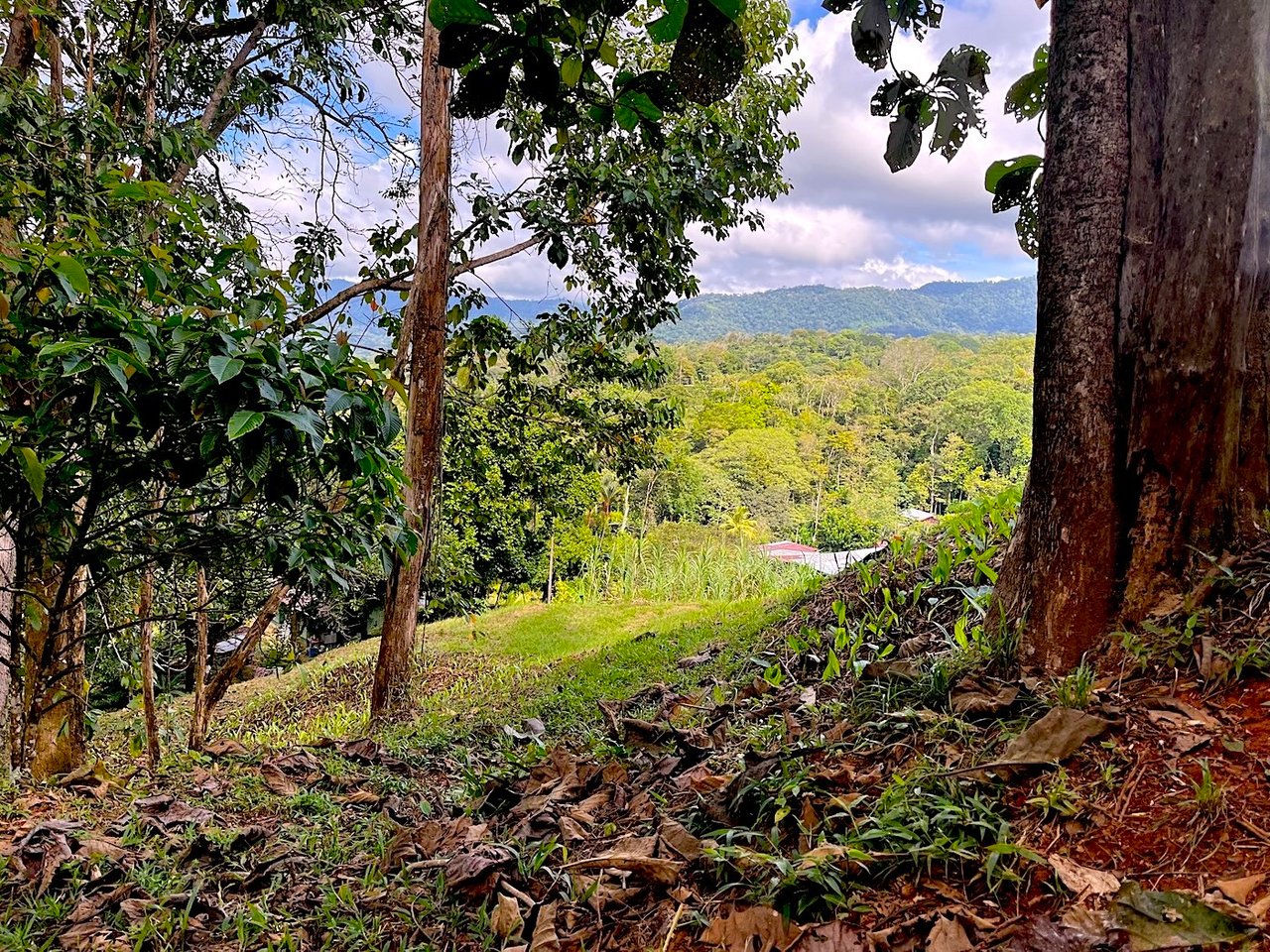 Luxury Development Land, Uvita, Puntarenas